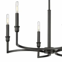 Golden Lighting Ellyn 25" Wide Matte Black Metal 6-Light Chandelier 9 Golden Lighting Ellyn 25" Wide Matte Black Metal 6-Light Chandelier -Outlet The Radiantix Store ellyn 25 inch wide matte black metal 6 light chandelier 045c2views1